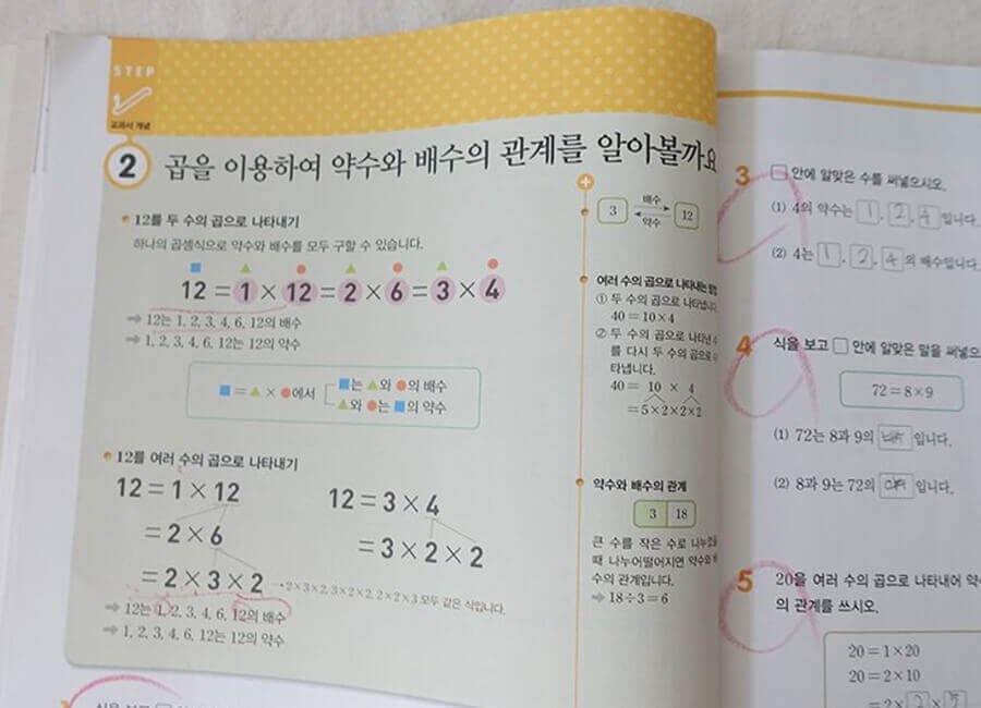 디딤돌 초등수학 기본5-1