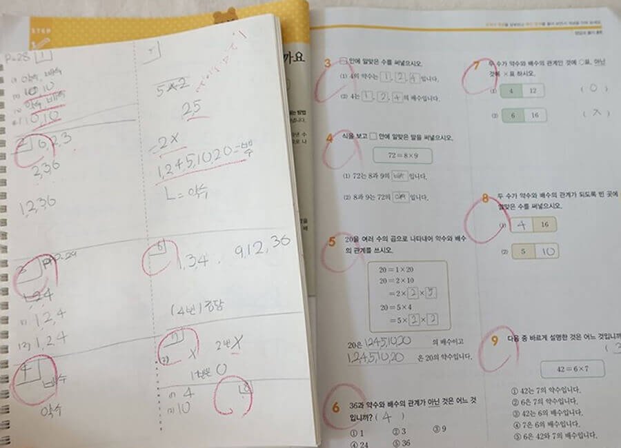 디딤돌 초등수학 기본5-1